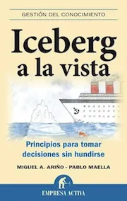 Iceberg Vista Toma Decisiones