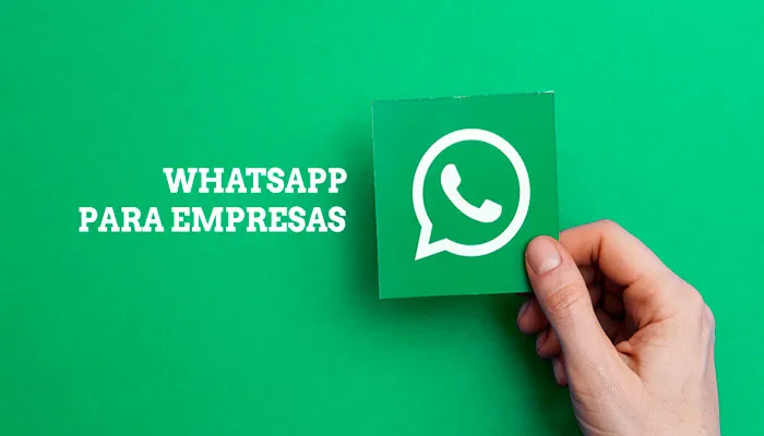 Whatsapp For Business